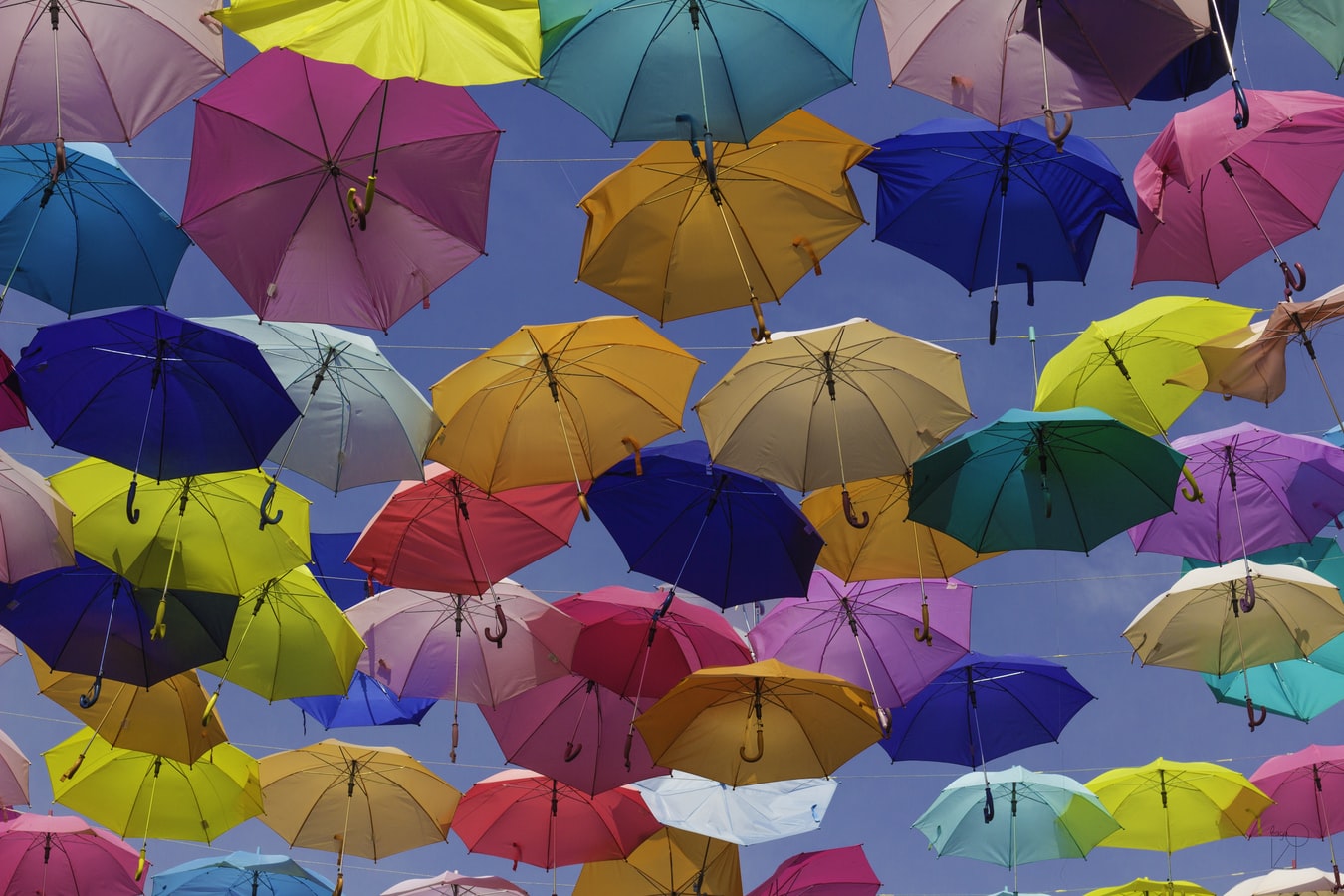 paraplyer. Foto: Ulises Baga