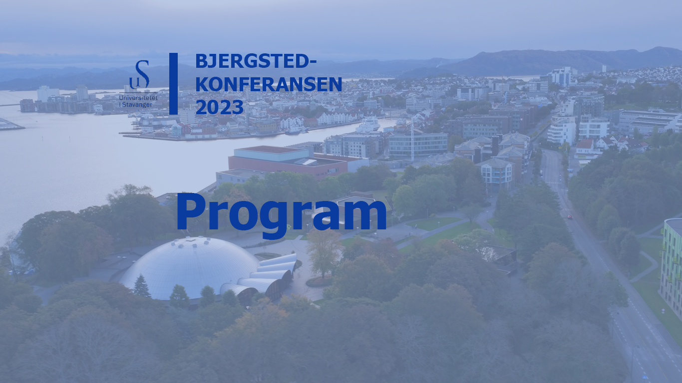 Plakat Bjergstedkonferansen, program. Dronebilde over Bjergsted