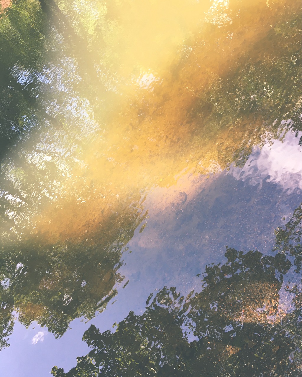 Reflection of sunlight and trees on water surface, Fiskars, Finland. Credit: Melina Antonia Buns