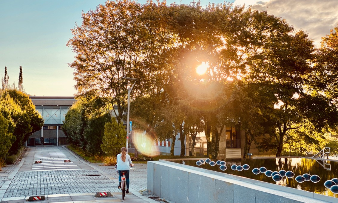 Se alle poenggrensene for 2023