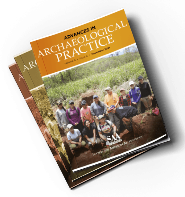 Advances in archaeological practice