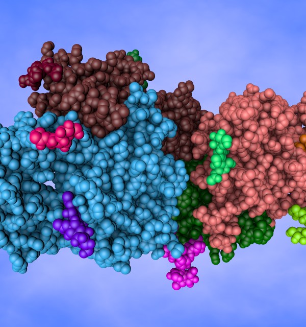 Protein phosphatases and signalling