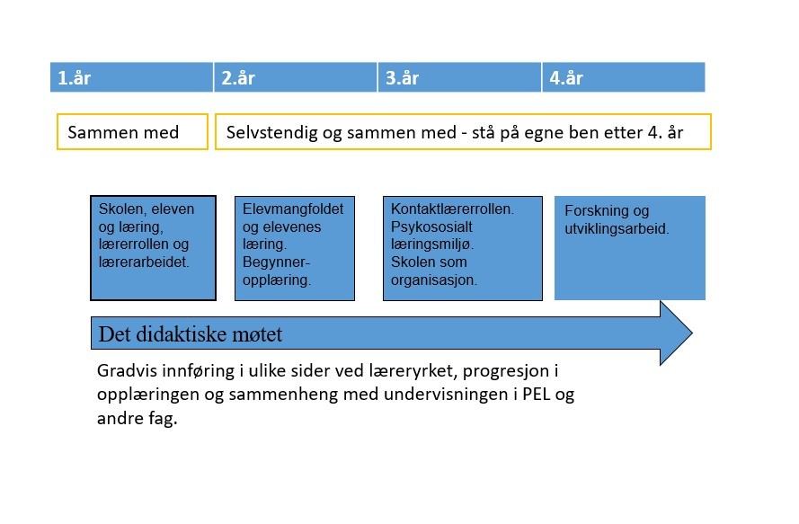 Grafisk fremstilling av fokusområder og progresjon i praksisstudiet (Kitty Garborg, 2019)